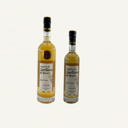 Gentiane du Vercors