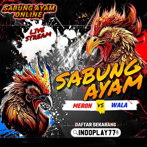 SV388 $ Platform Terpercaya untuk Sabung Ayam Online dengan Bonus 100% Winstreak